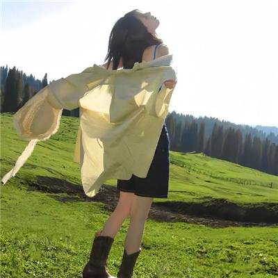 奉旨杀人